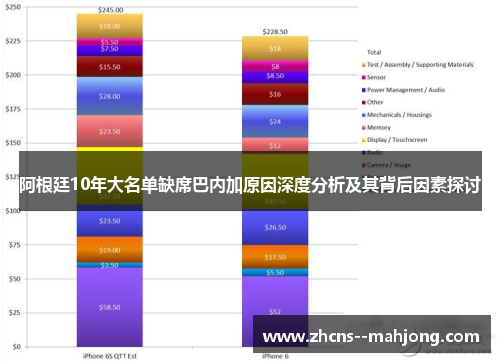 阿根廷10年大名单缺席巴内加原因深度分析及其背后因素探讨