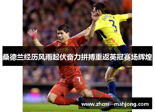 桑德兰经历风雨起伏奋力拼搏重返英冠赛场辉煌