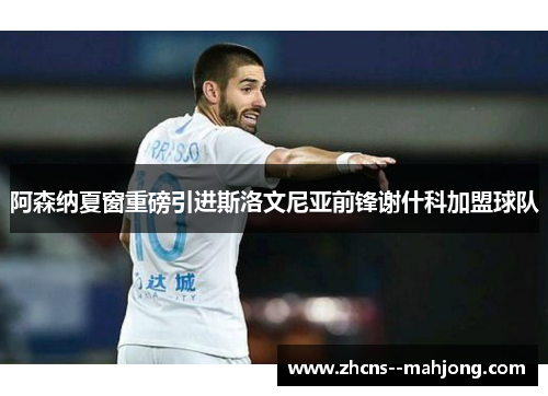 阿森纳夏窗重磅引进斯洛文尼亚前锋谢什科加盟球队 阿森纳夏窗重磅引进斯洛文尼亚前锋谢什科加盟球队